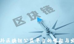 国外区块链公益平台的崛起与发展